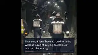 Exploring the Hidden Microbial Life Beneath Our Feet
