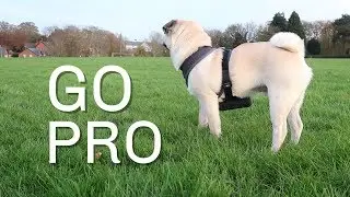 Pablo Testing a Go Pro