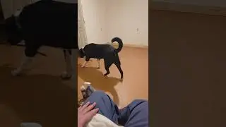 Мэри Джейн Уокер