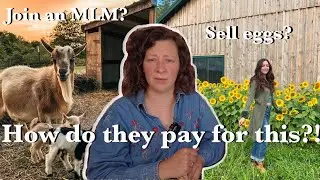 When farm influencers don't tell the whole story - Unrealistic advice from grifters?