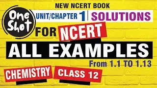 class 12 chemistry chapter 1 ncert example solutions | one shot examples ncert chemistry 12 chapter1