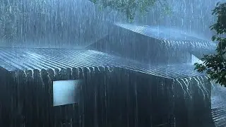 Relax Deeply and Fall Asleep Fast in 3 Minutes with Heavy Rain & Intense Thunder on a Metal Roof