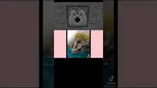 Perfect Things #14  / Dispenser Reacts (Unexpected Ending) #minecraft #shorts #reaction
