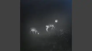 Endless Rush