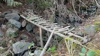 Short hike near my house!