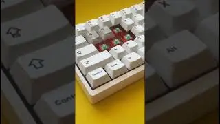 Lubed vs Unlubed Switches - Tecsee Carrots