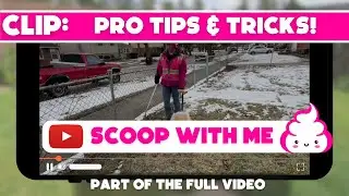 Pooper Scooper Secrets You Never Knew Existed