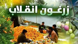 زرغون انقلاب مستند