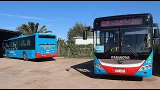 ÓMNIBUS HÍBRIDOS ¿Son rentables?