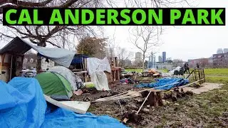 Cal Anderson Park Update | Capitol Hill Walkthrough