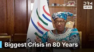 Watch: WTO Responds to Unprecedented Global Trade Disruption | DRM News | AF1F