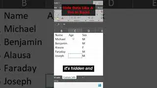 Hide Data Like a Pro in Excel #excel #excel  #michaeladeyeye  #Eaglesconsulting