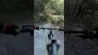 MTB Parque Ecol&oacute;gico Chipinque