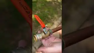 Sharkbite Max!