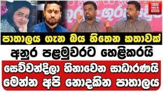 පාතාලය ගැන බය හිතෙන කතාවක් අනුර හෙළිකරයි | සෙව්වන්දිලා හිනාවෙන සාධාරණයි | මෙන්න අපි නොදකින පාතාලය