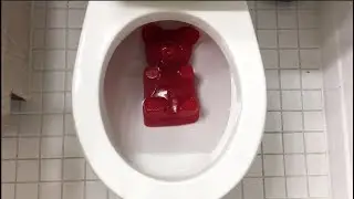 Will it Flush? - GIANT Gummy Bear