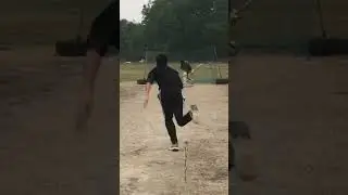 Unstoppable Bowling Accuracy: Watch the Most Impressive Cricket Shot Ever! 🏏🔥