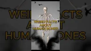 WEIRD FACTS ABOUT HUMAN BONES