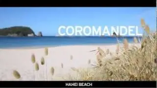 Coromandel Attractions & Things To Do in Gisborne