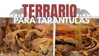 TERRARIOS PARA TARÁNTULAS : paso a paso (grammostola rosea y Brachypelma boehmei. 
