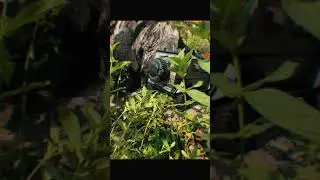 Mn86ks unboxing , first trail untuk set RTR