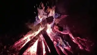 Alone with the Fire and Silence #viral #asmr #campfire#forest#nature#peace#silence