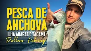 Pescaria de anchovas na ilha das araras 🎣