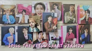 Seventeen Haul #182 - OT13 Spill the Feels Carat Version