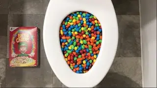 Experiment Toilet vs M&M's and Lucky Charms Cereal