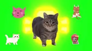 &ldquo;SPINNING CAT ENERGY ⚡ The Ultimate EDM Meme Drop | High-Energy Festival Banger&rdquo;  High energy music.