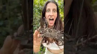 Barefoot and Brutal SHE Stepped on a Giant Thorn in the Wild!😱
