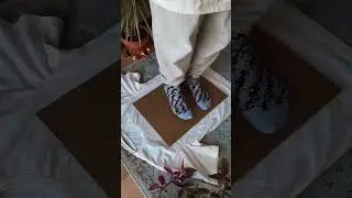 AI Turns Image into Motion | Image2Motion
