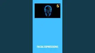 Anatomy of the Human Skull and Bipedal Evolution
