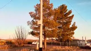 Saturday cruise through Holiday Ranch in Arizona. Sonoran Desert. 