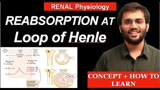 Loop of Henle Tubular Reabsorption |  Reabsorption in LOH | Renal Physiology | MBBS 1st Year