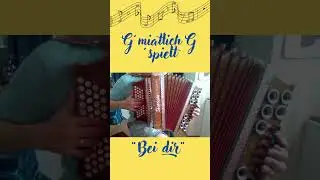 Bei dir #steirischeharmonika #volksmusik #eigenkomposition #ziach #quetschn #sommer #quetschn