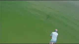 Fly Fishing Tarpon with Captain Russ Shirley (2020) 🌎