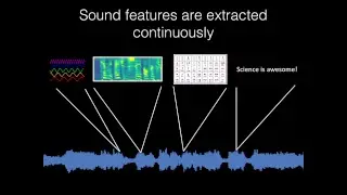 Studying Sound in the Human Brain Using Predictive Models