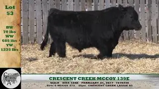 Lot 53 CCA 2018