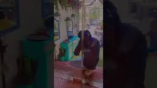 AAMIR ARAB LOVE THE CAT//WITH BROTHER//#ytshorts //#shortvideo //#youtubeshort //#arab