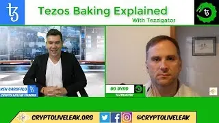 Tezos Baking Explained with Tezzigator