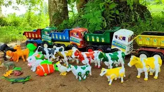 🔴 Wiih..! Truk oleng angkut sapi warna warni ayam gajah gorila kelinci latolato buaya rusa