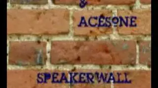 Vortex & Acesone - SpeakerWall