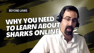 Why this Cornell university professor wants to teach you about sharks online for free