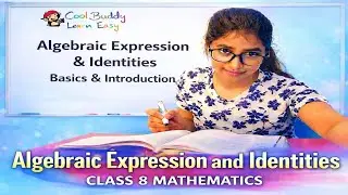 CBSE Class 8 Maths | Basics of Chapter 8 Algebraic Expressions and Identities | Learn Easy 