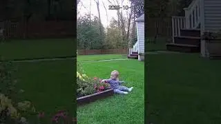 Funny Sora 2 AI Videos