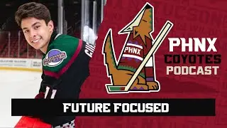 Where do the Arizona Coyotes&rsquo; prospects rank among the rest of the NHL?