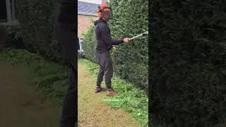 CONIFER HEDGE CUT #garden #gardening #maintenance #landscape #gardener