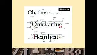 Typography: Anatomy and Classification