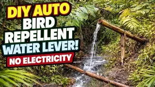 DIY AUTO BIRD Repellent Water Lever No Electricity 